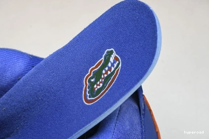 Hyperoad Jordan Air Gators